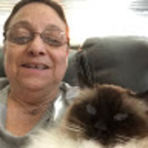 Meet your Posher, Louannne